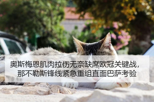 奥斯梅恩肌肉拉伤无奈缺席欧冠关键战，那不勒斯锋线紧急重组直面巴萨考验