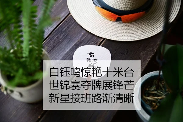 白钰鸣惊艳十米台 世锦赛夺牌展锋芒 新星接班路渐清晰