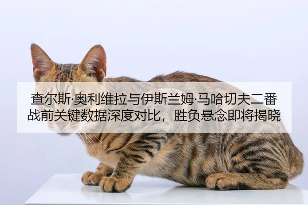 查尔斯·奥利维拉与伊斯兰姆·马哈切夫二番战前关键数据深度对比，胜负悬念即将揭晓
