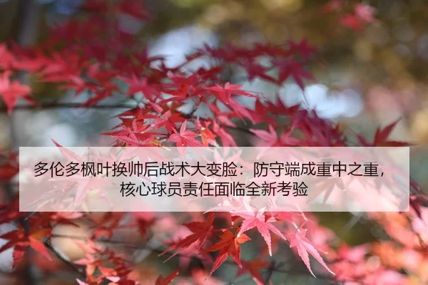 多伦多枫叶换帅后战术大变脸：防守端成重中之重，核心球员责任面临全新考验